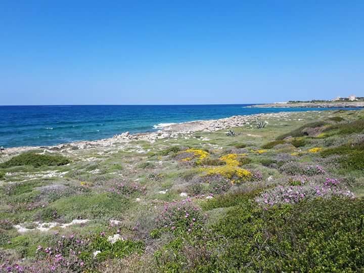 Villino Sole Holiday home *